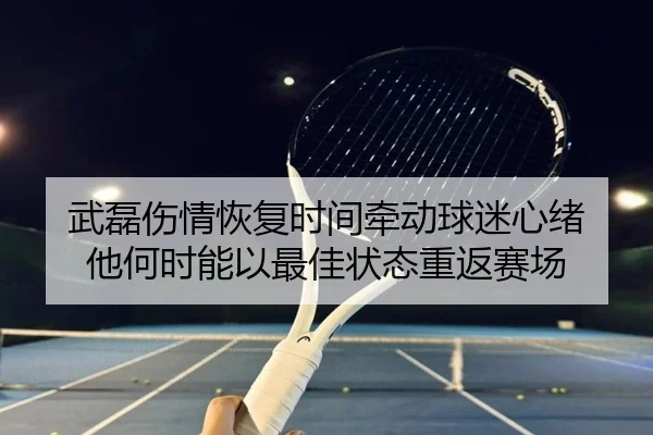 武磊伤情恢复时间牵动球迷心绪 他何时能以最佳状态重返赛场 | kaiyun